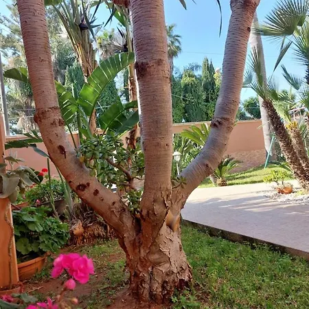Casa Con Giardino Giacalone アパートホテル